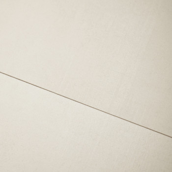 Two beige tiles lay adjacent, separated by a narrow grout line, showcasing a smooth, matte surface texture.