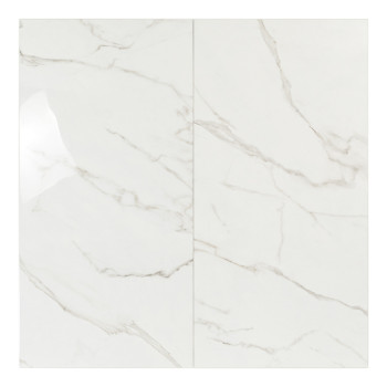Rechthoekige tegel met een glanzend, wit marmerpatroon met lichtgrijze nerven, waardoor een strakke, eigentijdse uitstraling ont