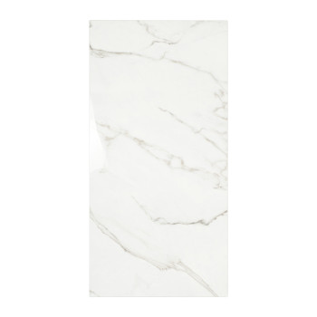 Rechthoekige tegel met een glanzend, wit marmerpatroon met lichtgrijze nerven, waardoor een strakke, eigentijdse uitstraling ont