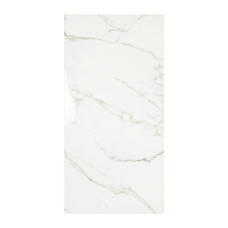 Rectangular tile features a glossy, white marble pattern with light gray veining, creating a sleek, contemporary appearance.