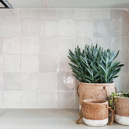 Des pots en terre cuite contiennent des plantes vertes, posées sur une surface beige sur fond de mur carrelé.