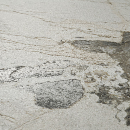 Een getextureerde steentegel heeft onregelmatige, gevlekte patronen met een mix van grijze en beige tinten, waardoor een natuurl