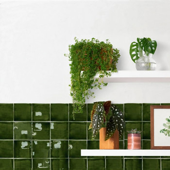 Uma parede branca abriga duas prateleiras com vasos de plantas e decoração, acima de azulejos verdes escuros brilhantes. Uma pla