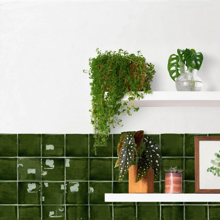 Uma parede branca abriga duas prateleiras com vasos de plantas e decoração, acima de azulejos verdes escuros brilhantes. Uma pla Uma parede branca abriga duas prateleiras com vasos de plantas e decoração, acima de azulejos verdes escuros brilhantes. Uma pla