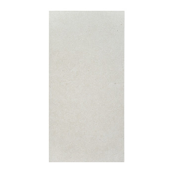 Le carreau rectangulaire présente une surface lisse gris clair avec des mouchetures subtiles, sur un fond blanc.