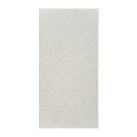 Le carreau rectangulaire présente une surface lisse gris clair avec des mouchetures subtiles, sur un fond blanc.