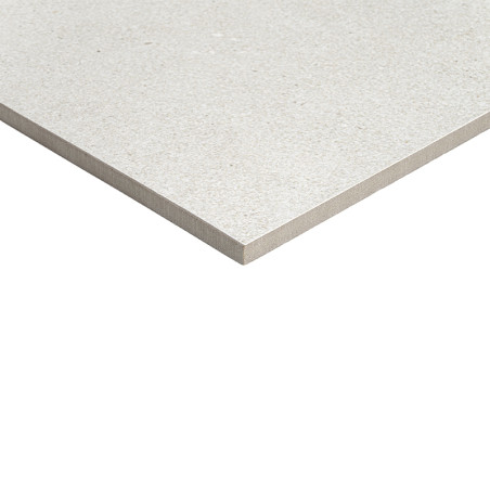 Un carreau lisse gris clair avec une texture mouchetée repose sur un fond blanc, soulignant sa surface uniforme et ses bords net