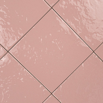 Fiji Rosa