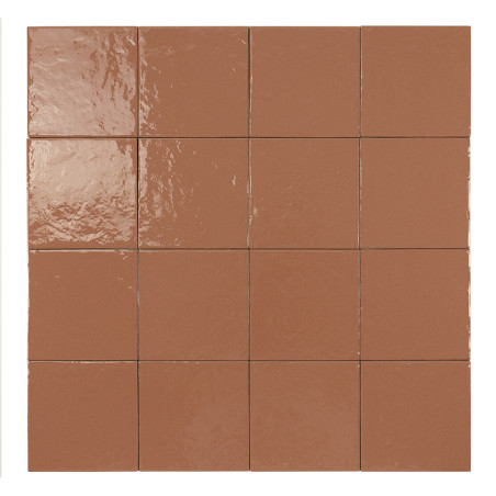 Fiji Corail