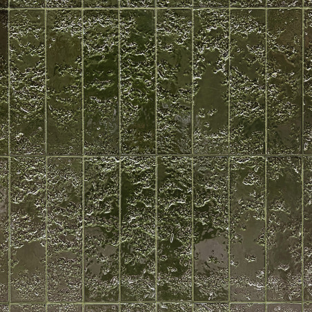 Bahia-26 Groen